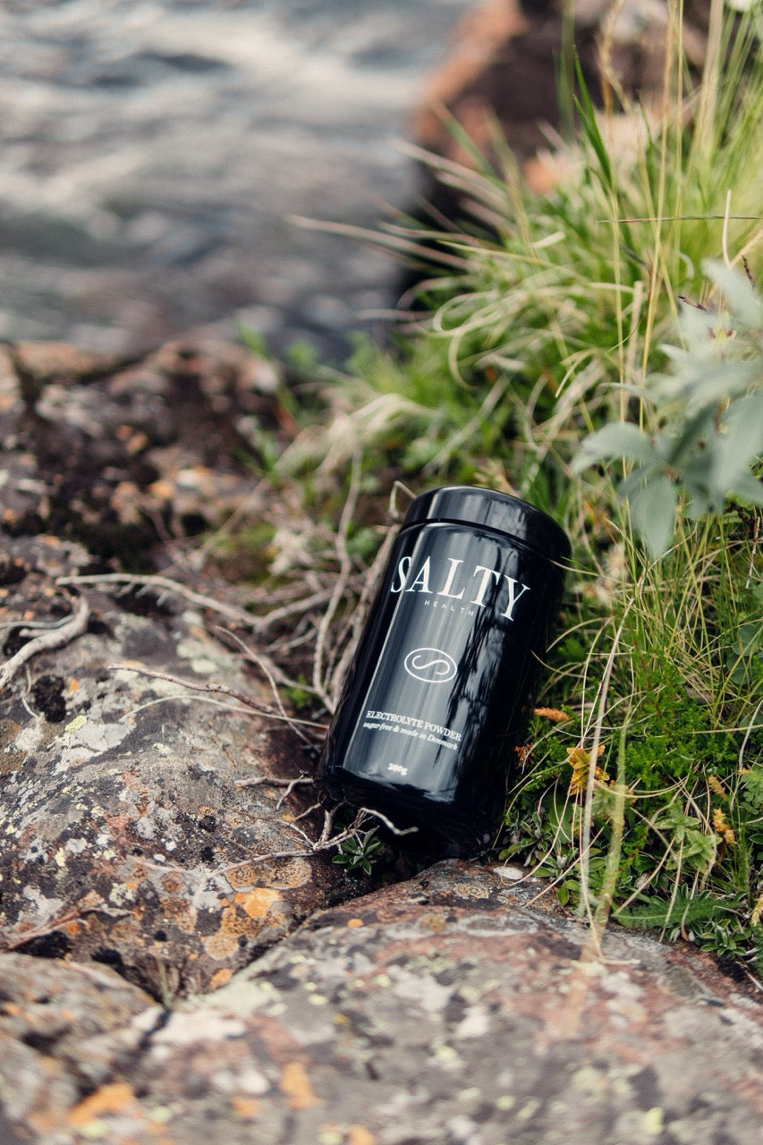 SALTY Winter Event 23. November (KBH)